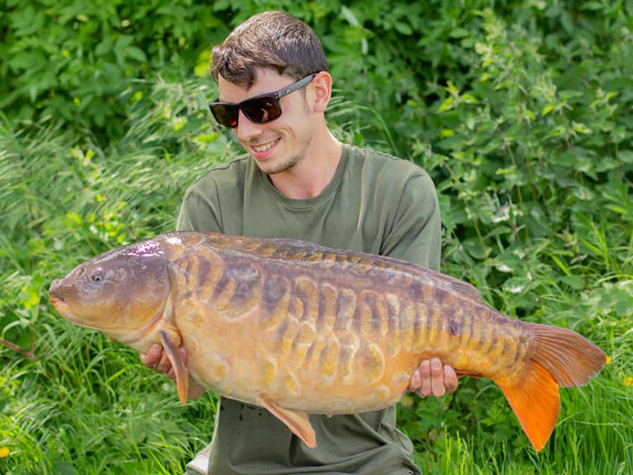 Carp