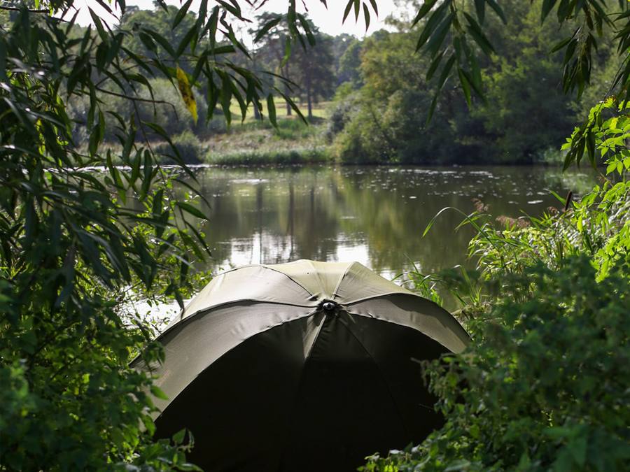 Bankside