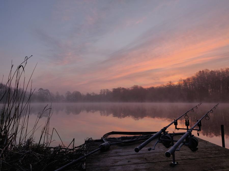 Estate lake