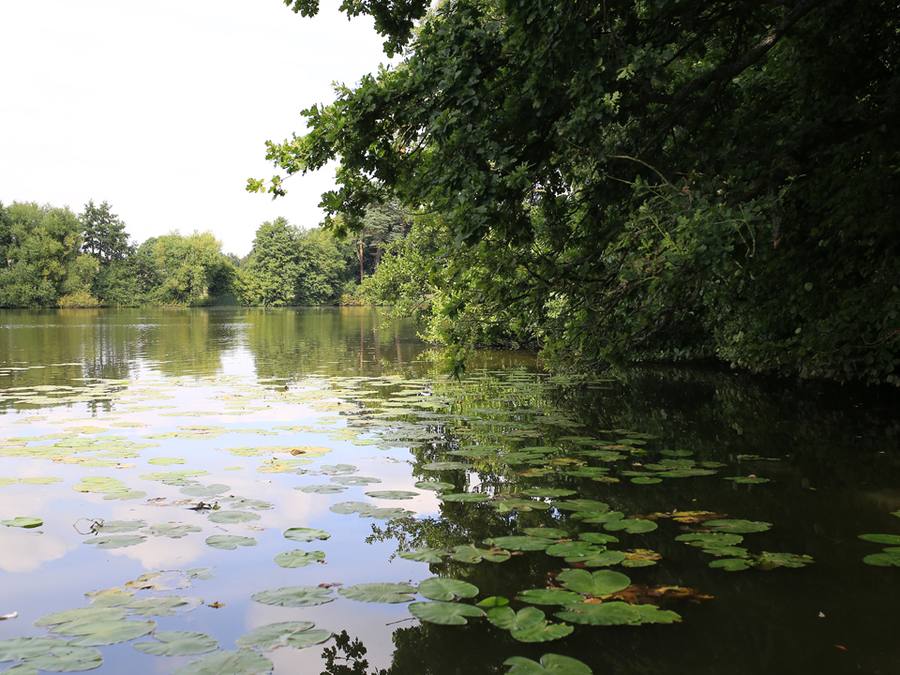 Lake