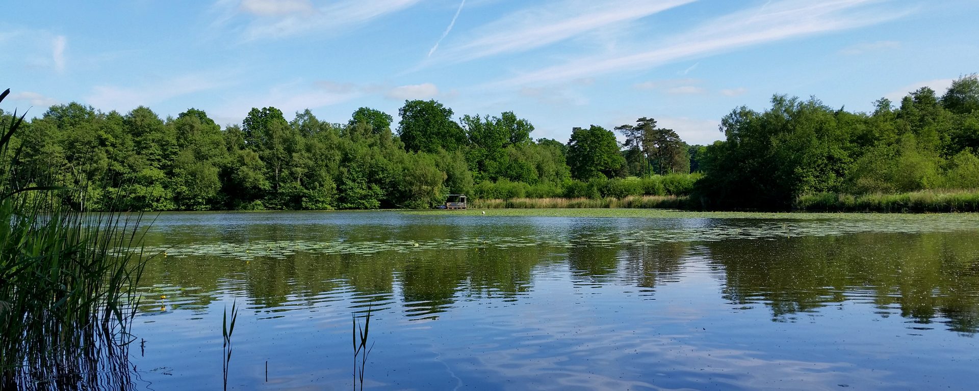 Furnace Pond at dawn